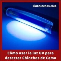 el uso de la luz UV para detectar chinches