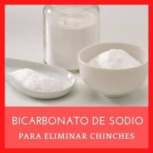 bicarbonato para chinches